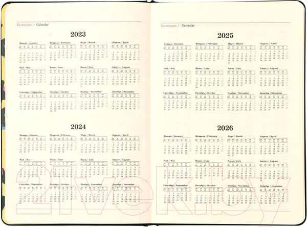 Изображение товара Ежедневник Lorex Eye-Popping / LXDRA5-EP (96л, черный)