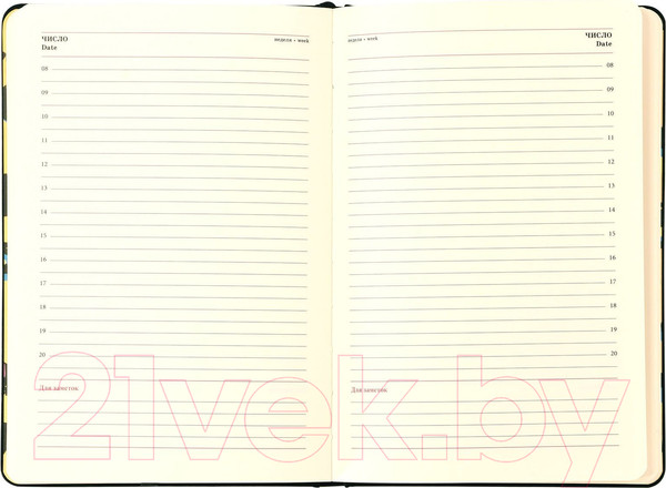 Изображение товара Ежедневник Lorex Eye-Popping / LXDRA5-EP (96л, черный)