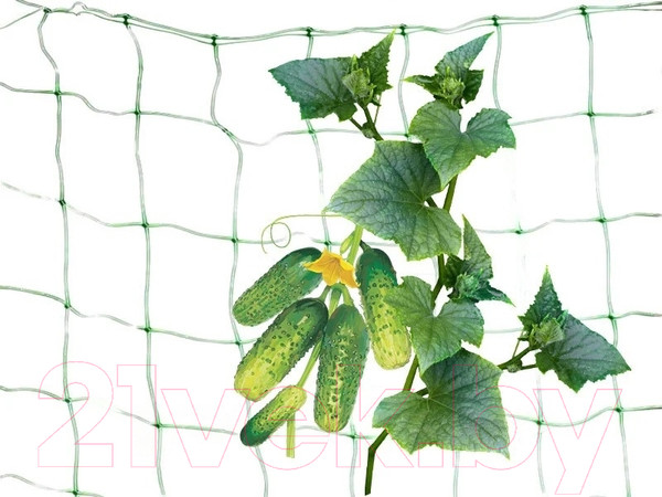 Изображение товара Сетка садовая Interlok Шпалерная (2x5м)