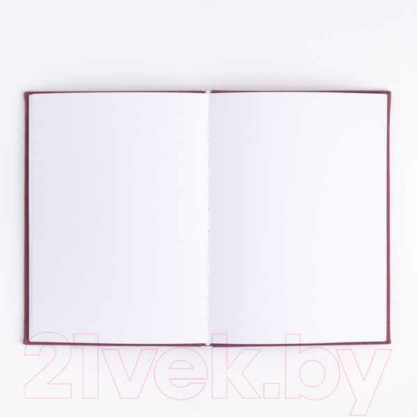 Изображение товара Скетчбук Малевичъ 401136 (40л, бордовый)