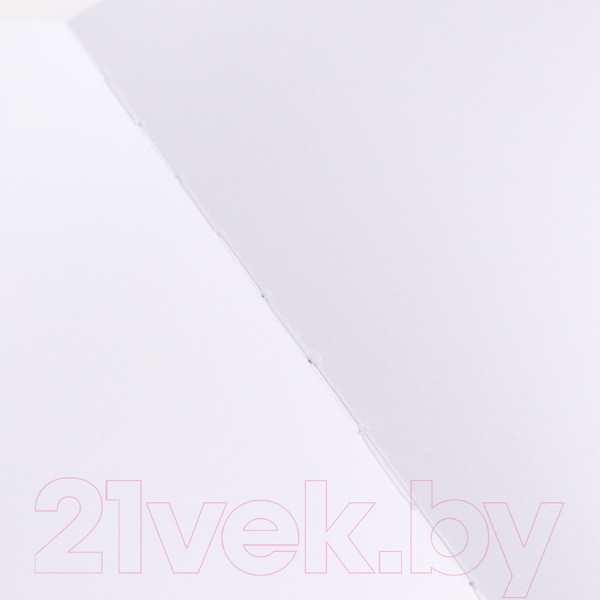 Изображение товара Скетчбук Малевичъ 401136 (40л, бордовый)