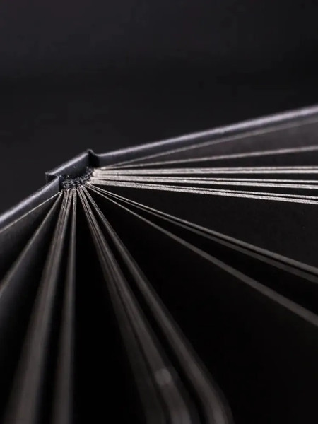 Изображение товара Скетчбук Малевичъ Graf'Art / 402316 (48л, total black)