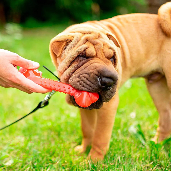 Изображение товара Игрушка для собак Ferplast PA6484 M / 86484799