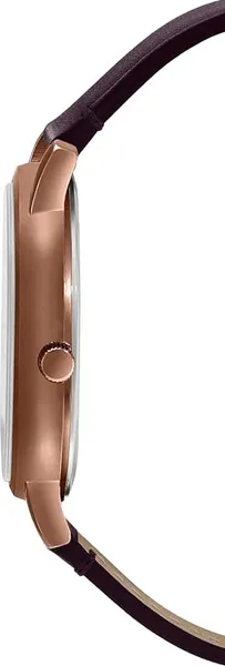 Изображение товара Часы наручные мужские Casio Collection MTP-B125RL-5A