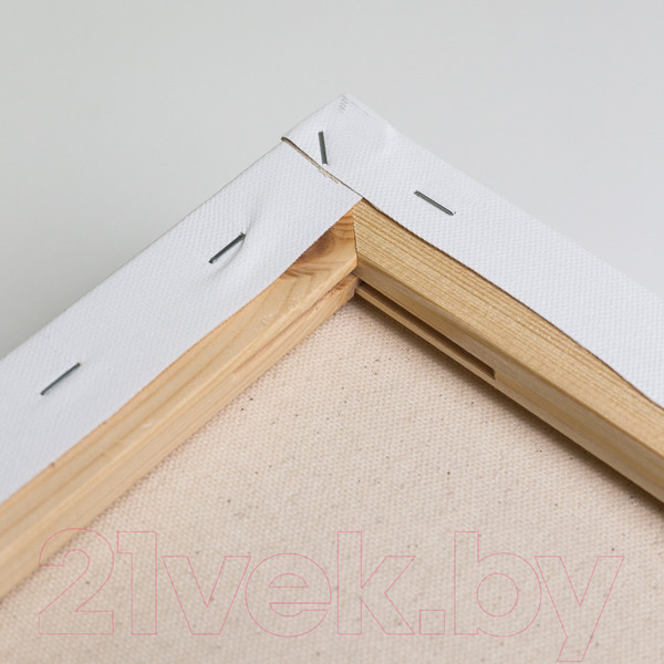 Изображение товара Набор холстов для рисования Малевичъ На подрамнике / 212033