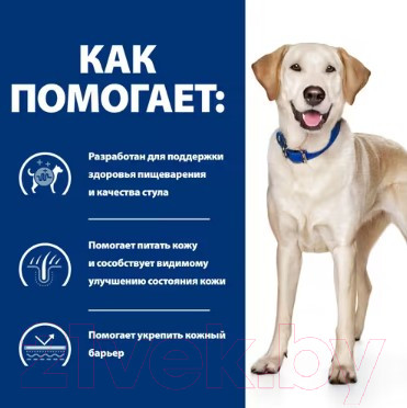 Изображение товара Сухой ветеринарный корм для собак Hill's Prescription Diet d/d с уткой и рисом / 605839 (1.5кг)