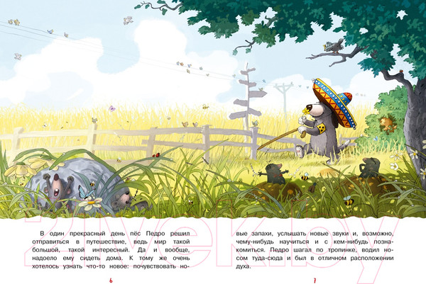 Изображение товара Книга Махаон Друзья навсегда (Валько)