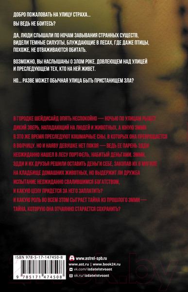 Изображение товара Книга АСТ Ты умеешь хранить тайны? (Стайн Р.)