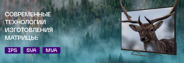 Изображение товара Телевизор POLAR 24" P24L52T2CSM