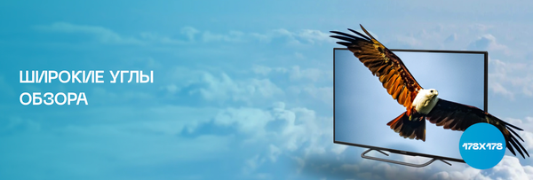 Изображение товара Телевизор POLAR 24" P24L52T2CSM