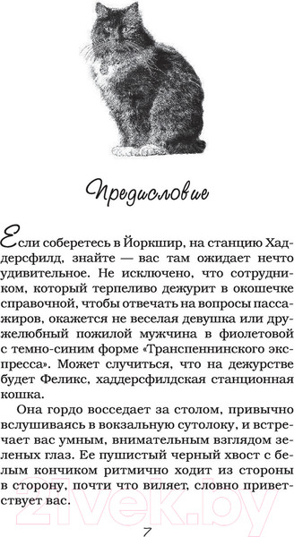 Изображение товара Книга АСТ Феликс с железной дороги (Мур К.)