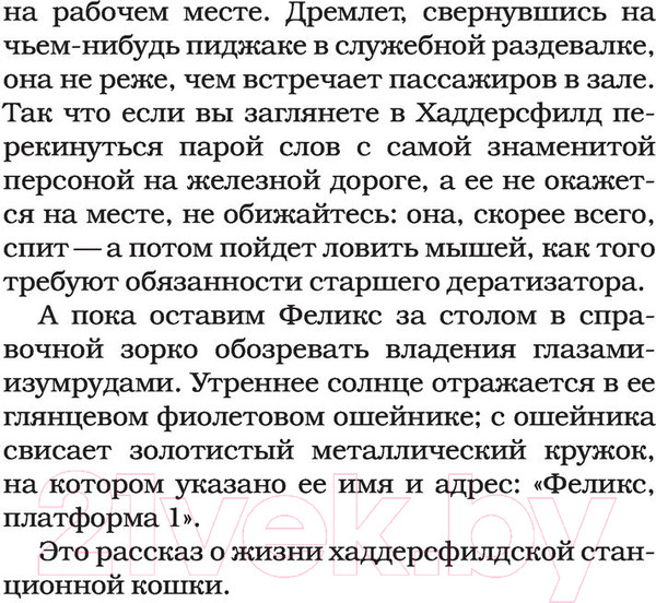 Изображение товара Книга АСТ Феликс с железной дороги (Мур К.)