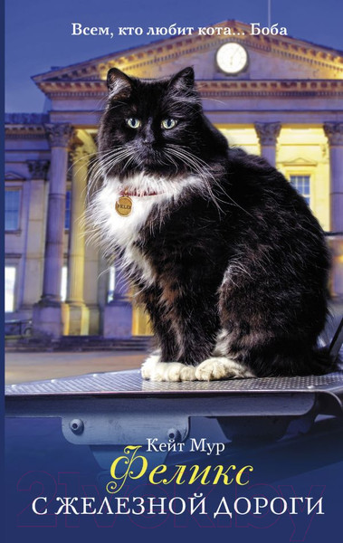 Изображение товара Книга АСТ Феликс с железной дороги (Мур К.)