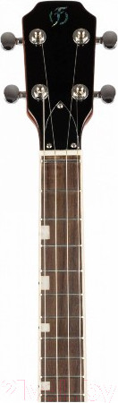 Изображение товара Укулеле Flight Vanguard Tenor TPP