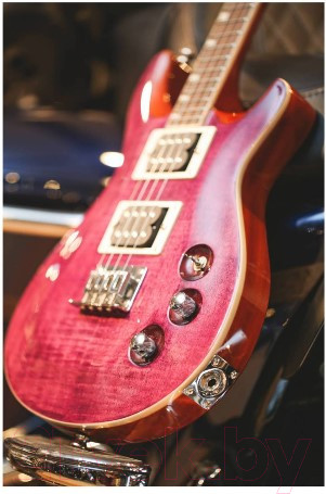 Изображение товара Укулеле Flight Vanguard Tenor TPP