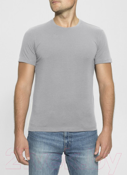 Изображение товара Футболка Alfa Man 6600 (р.182,188-108, светло-серый)