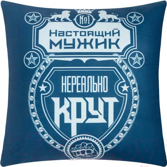 Изображение товара Подушка декоративная Этель Нереально крут / 9101180 (40x40, велюр)