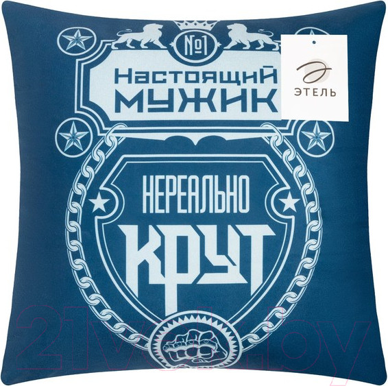 Изображение товара Подушка декоративная Этель Нереально крут / 9101180 (40x40, велюр)