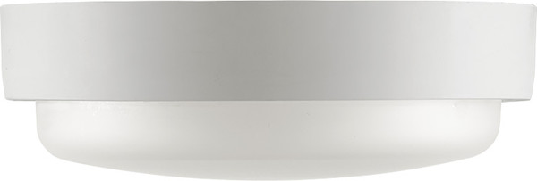 Изображение товара Светильник ЖКХ Wolta LCL04-18W-R01-6K