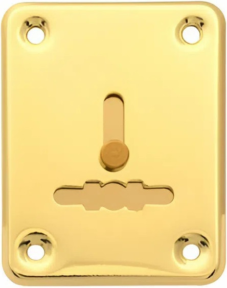 Изображение товара Накладка под сувальдный ключ Apecs DP-S-01-G-shutter