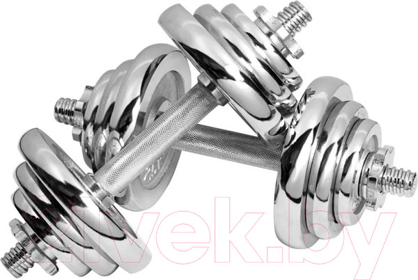 Изображение товара Набор гантелей Alpin DB-20