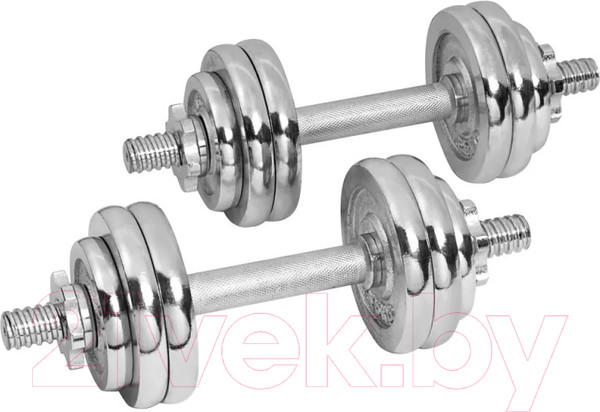 Изображение товара Набор гантелей Alpin DB-20
