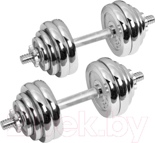 Изображение товара Набор гантелей Alpin DB-30