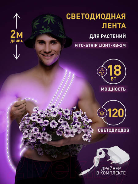 Изображение товара Светодиодная лента ЭРА FITO-Strip Light-RB-2m / Б0057282