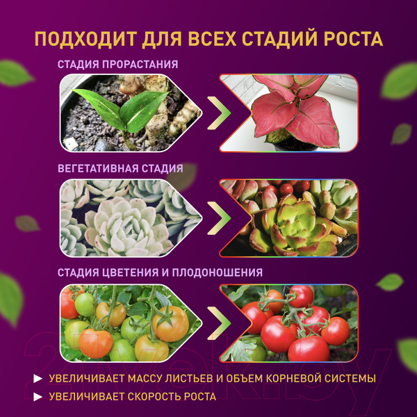 Изображение товара Светодиодная лента ЭРА FITO-Strip Light-RB-2m / Б0057282