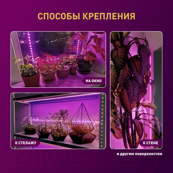 Изображение товара Светодиодная лента ЭРА FITO-Strip Light-RB-2m / Б0057282