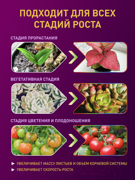 Изображение товара Светодиодная лента ЭРА FITO-Strip Light-RB-2m / Б0057282