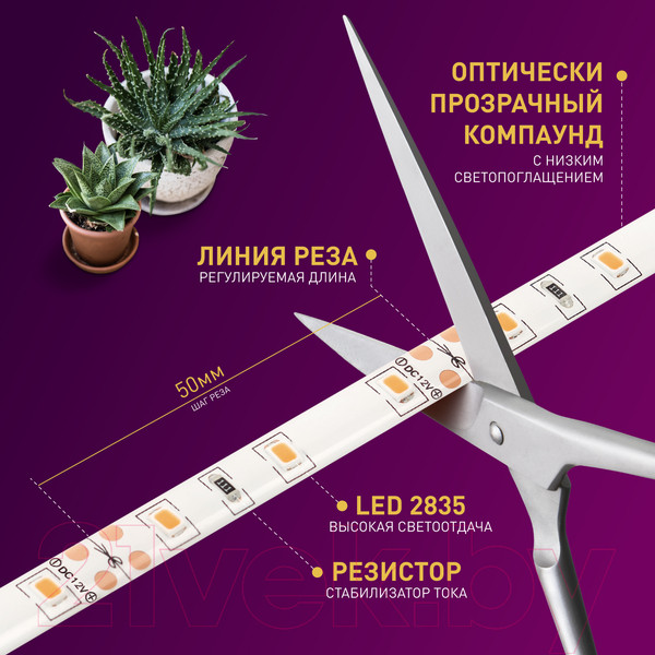 Изображение товара Светодиодная лента ЭРА FITO-Strip Light-RB-2m / Б0057282