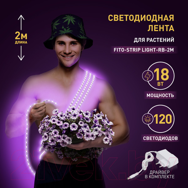 Изображение товара Светодиодная лента ЭРА FITO-Strip Light-RB-2m / Б0057282
