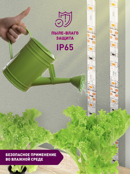 Изображение товара Светодиодная лента ЭРА FITO-Strip Light-RB-2m / Б0057282