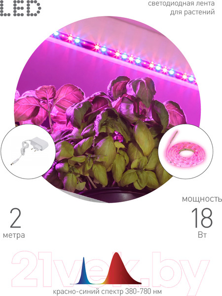 Изображение товара Светодиодная лента ЭРА FITO-Strip Light-RB-2m / Б0057282