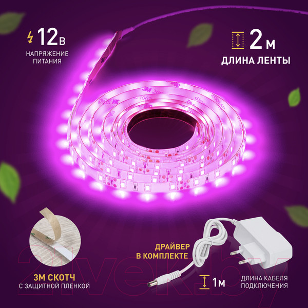 Изображение товара Светодиодная лента ЭРА FITO-Strip Light-RB-2m / Б0057282