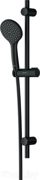 Изображение товара Душевой гарнитур AM.PM Gem F0190022