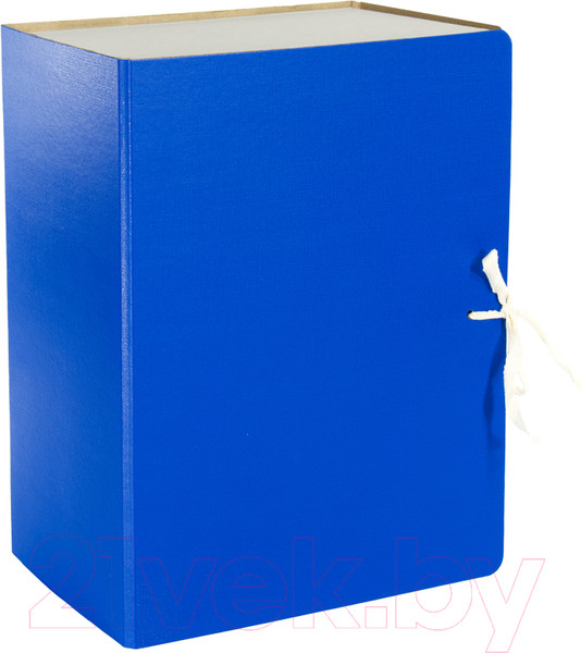 Изображение товара Коробка архивная OfficeSpace 318730 (синий)