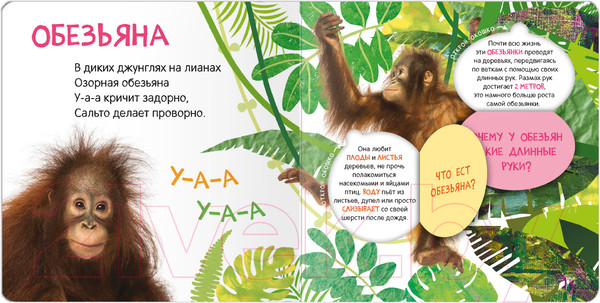 Изображение товара Развивающая книга Мозаика-Синтез Книжки с окошками. Кто где живет? / МС12684