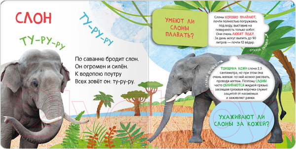 Изображение товара Развивающая книга Мозаика-Синтез Книжки с окошками. Кто где живет? / МС12684