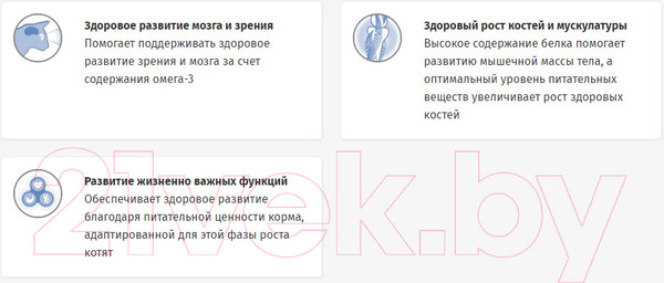 Изображение товара Влажный корм для кошек Pro Plan Junior с говядиной для котят (85г)