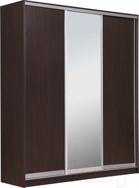 Изображение товара Шкаф-купе Рэйгрупп 203 VVX Elgon РГ-02.02 (венге/хром)