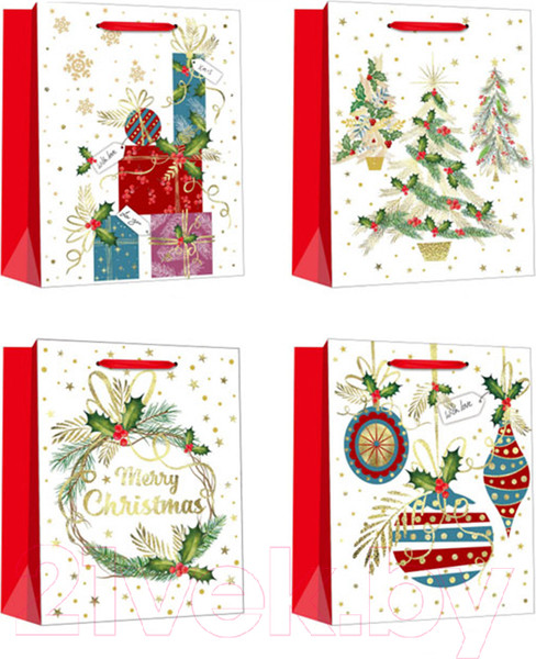 Изображение товара Пакет подарочный MONAMI GB22-5803