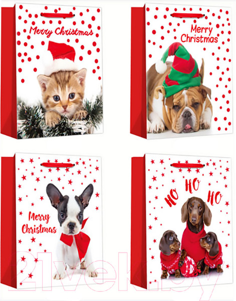 Изображение товара Пакет подарочный MONAMI GB22-5903