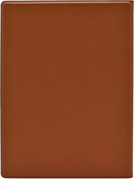 Изображение товара Обложка для электронной книги Onyx SIDE Control для Onyx Book Nova Air 2 (коричневый)