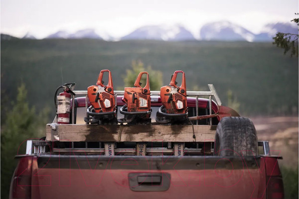 Изображение товара Бензопила цепная Husqvarna 372XP 18" (965 70 29-18)