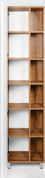 Изображение товара Шкаф-пенал для ванной Viant Бостон / VBOS450-PEN