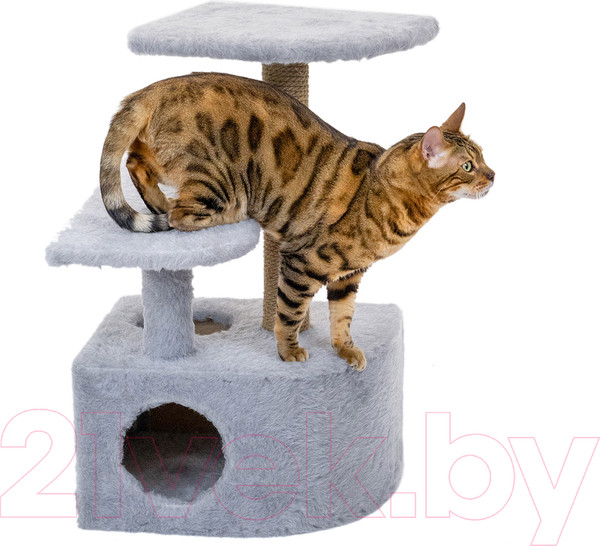 Изображение товара Комплекс для кошек Чип 8347сер