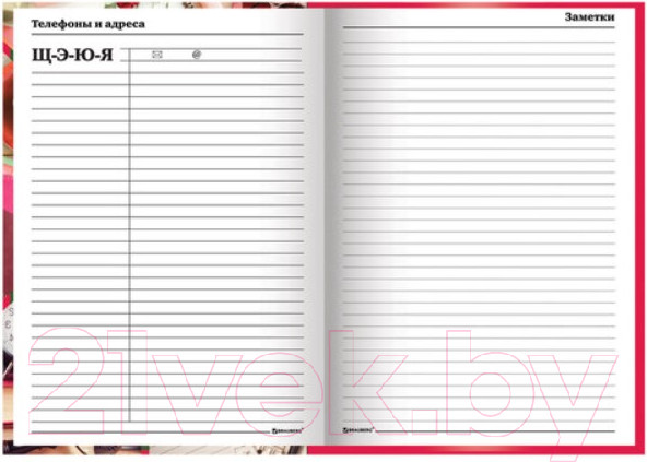 Изображение товара Ежедневник Brauberg Учителя / 129232 (144л, аксессуары)