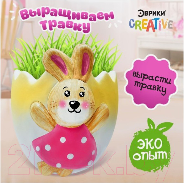 Изображение товара Набор для выращивания растений Эврики Выращиваем травку / 6911657 (зайка)